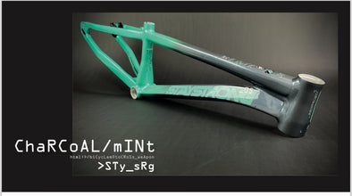 Staystrong 2024 V5 Pro Race Frames